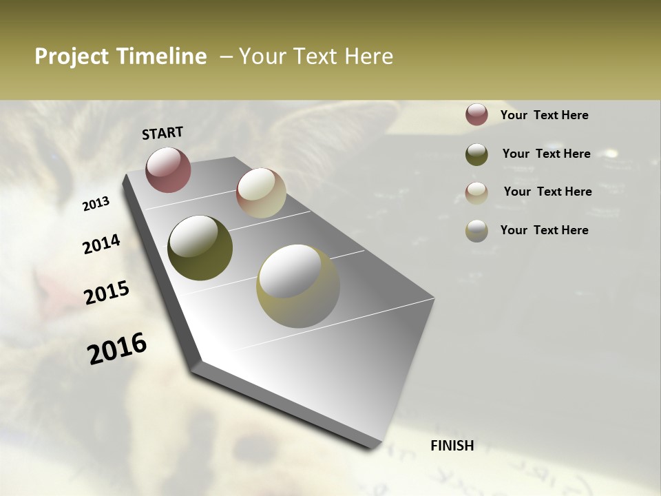 Coastal Sunset Pensioner PowerPoint Template