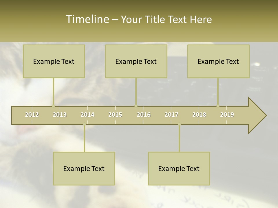 Coastal Sunset Pensioner PowerPoint Template