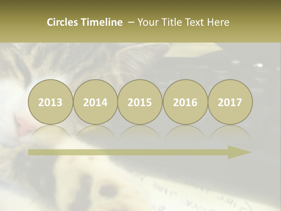 Coastal Sunset Pensioner PowerPoint Template