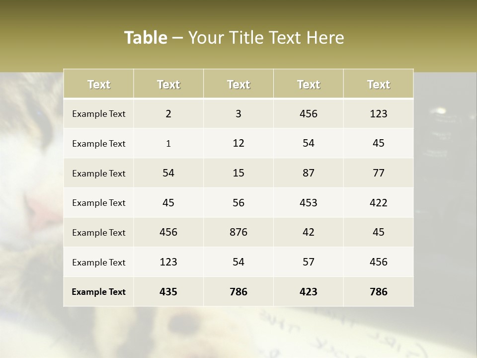 Coastal Sunset Pensioner PowerPoint Template