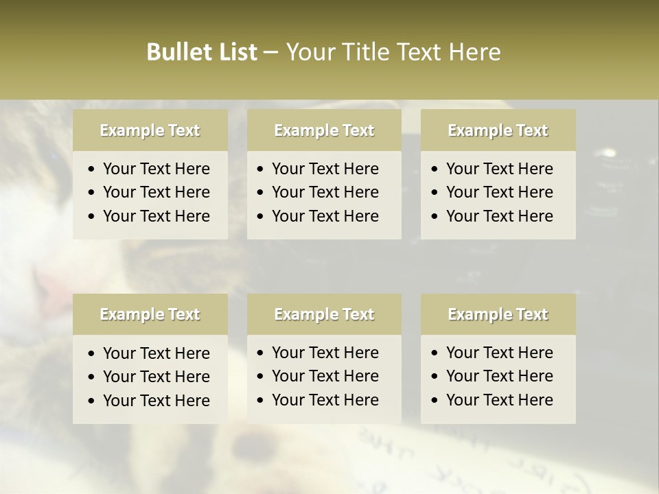 Coastal Sunset Pensioner PowerPoint Template