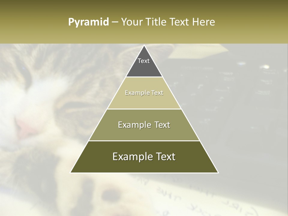 Coastal Sunset Pensioner PowerPoint Template