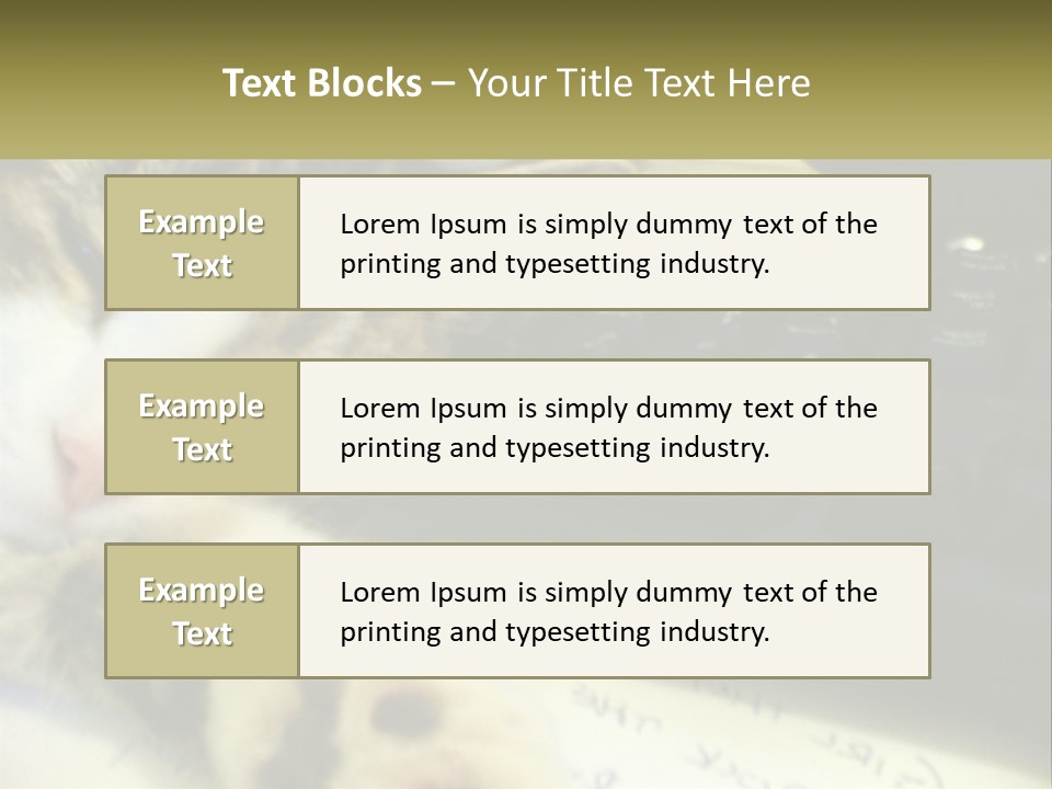 Coastal Sunset Pensioner PowerPoint Template