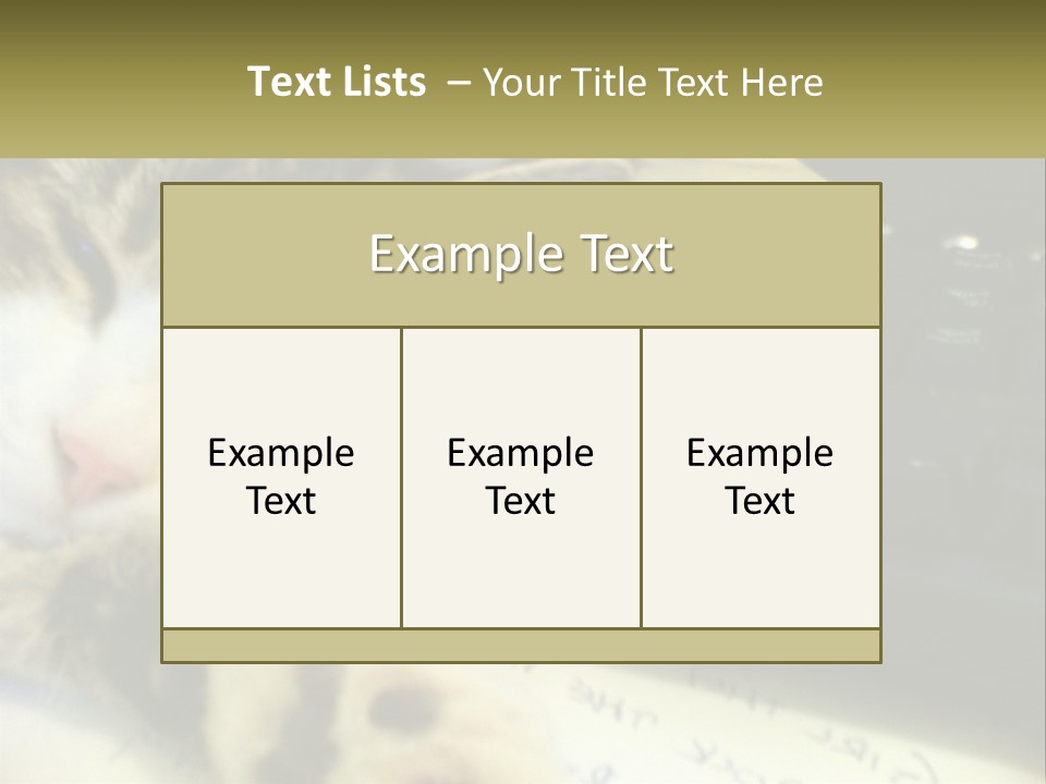 Coastal Sunset Pensioner PowerPoint Template