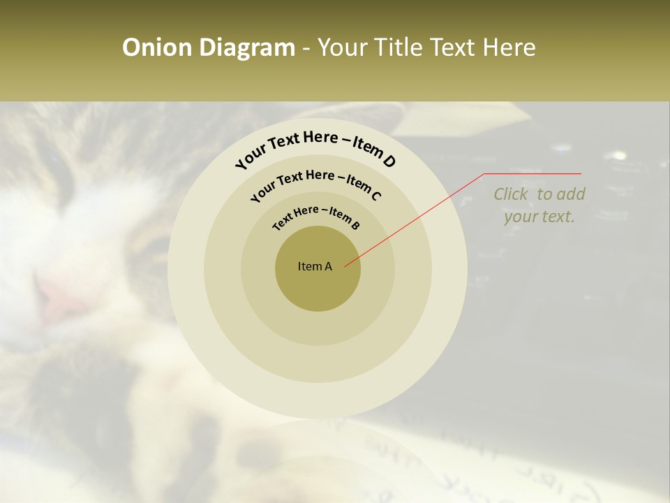 Coastal Sunset Pensioner PowerPoint Template