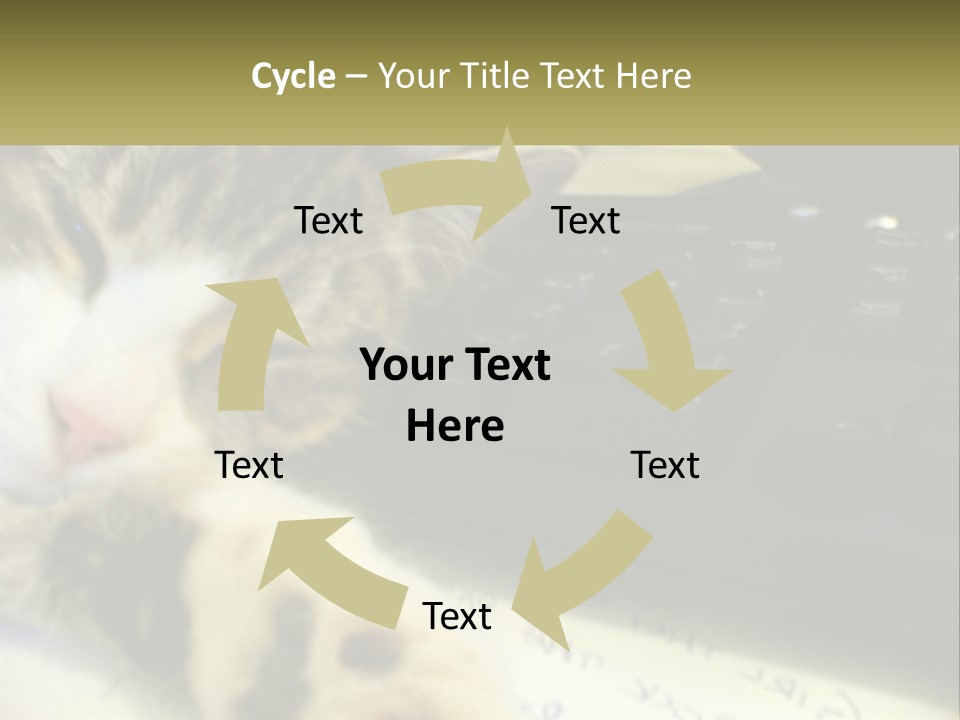 Coastal Sunset Pensioner PowerPoint Template