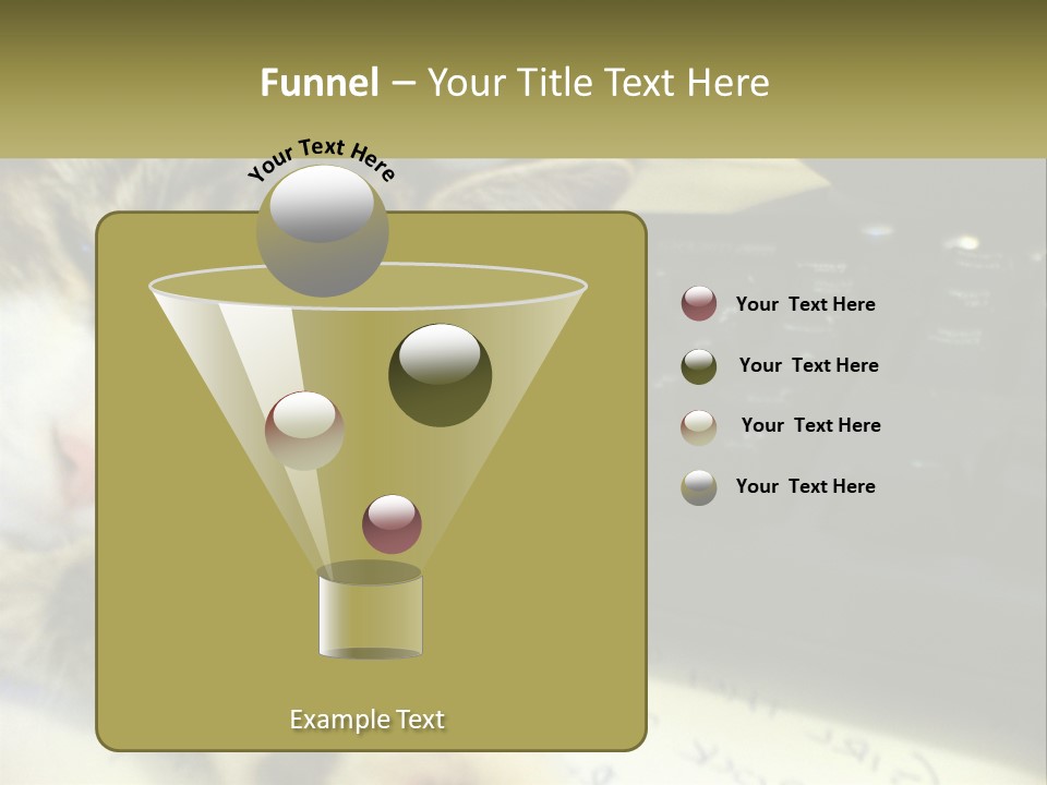 Coastal Sunset Pensioner PowerPoint Template
