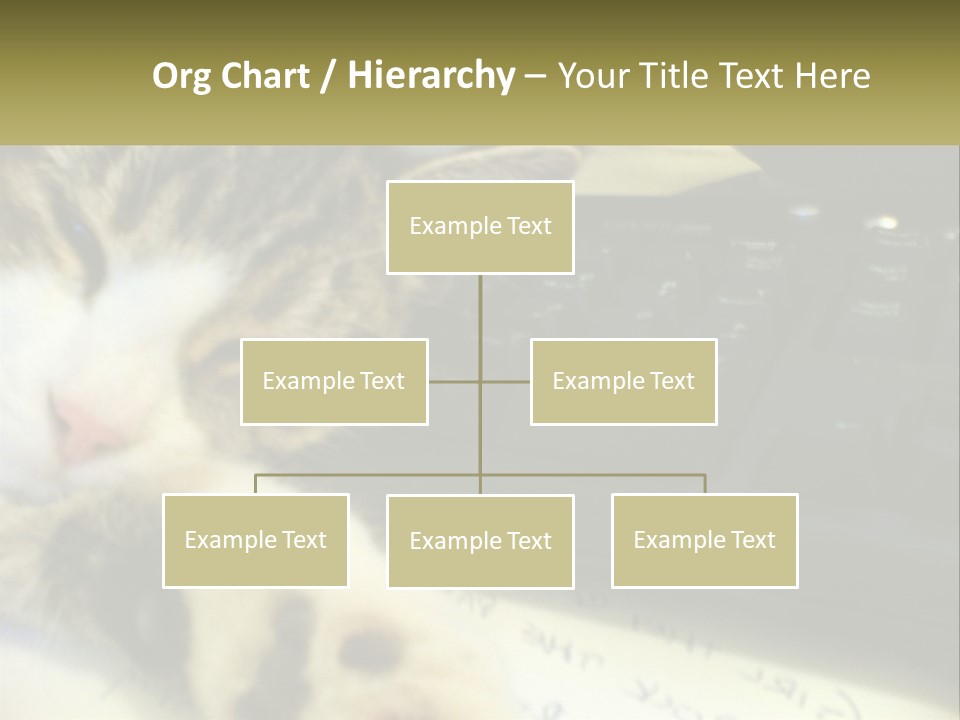 Coastal Sunset Pensioner PowerPoint Template
