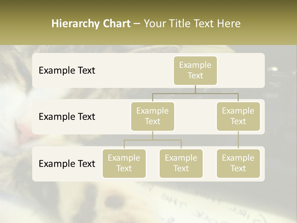 Coastal Sunset Pensioner PowerPoint Template