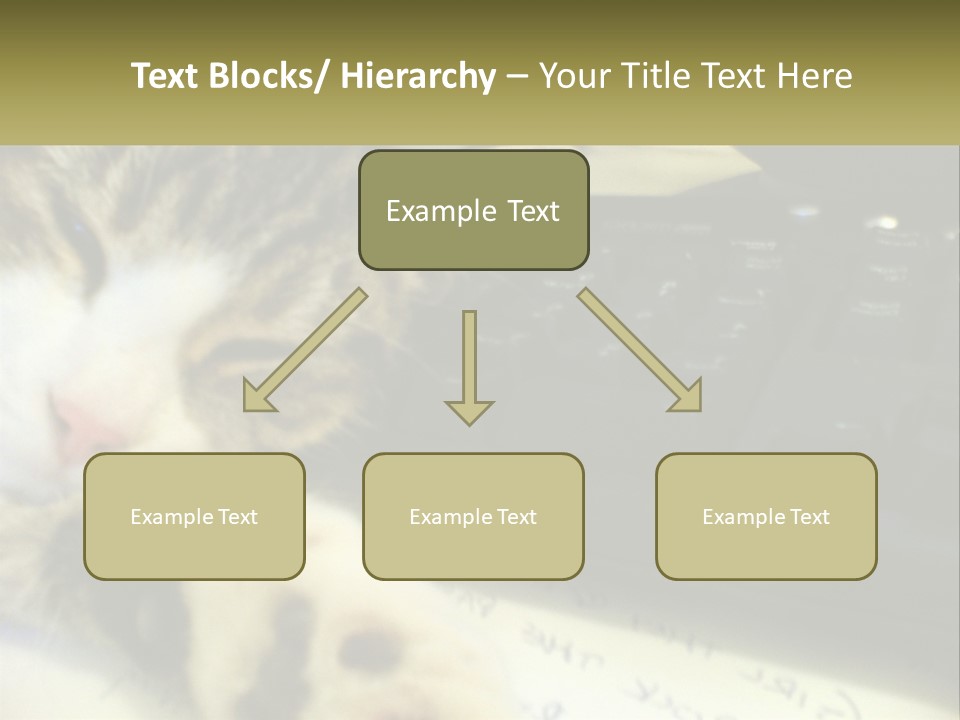 Coastal Sunset Pensioner PowerPoint Template