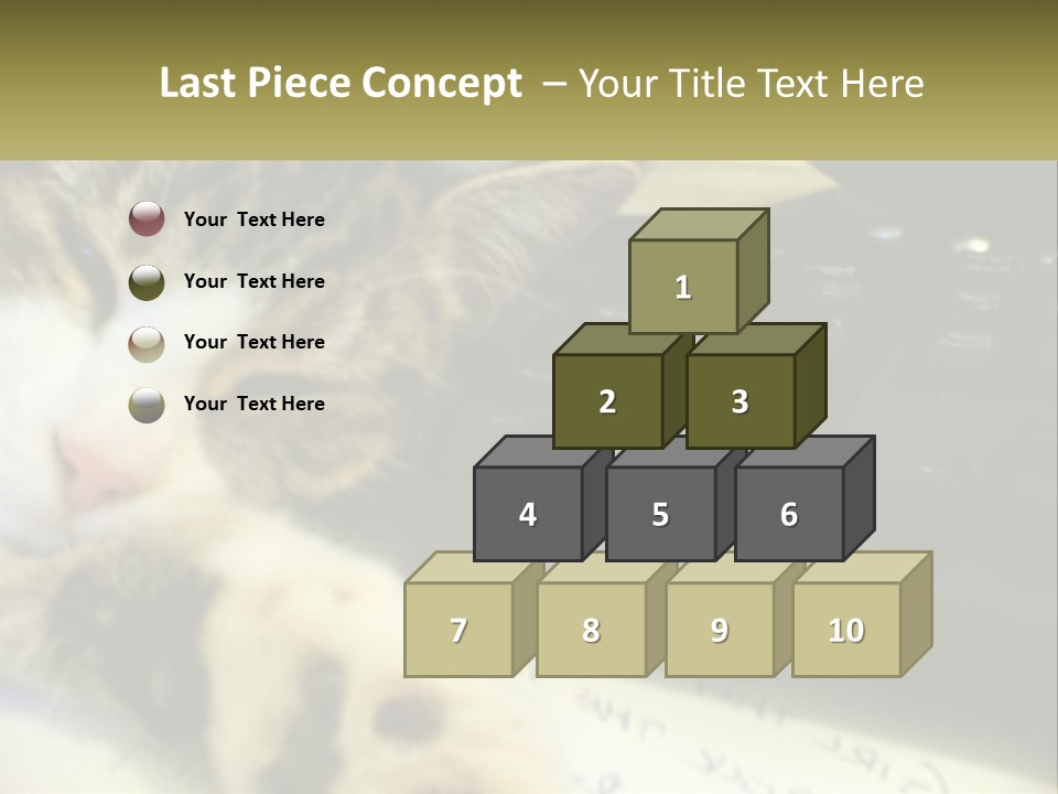 Coastal Sunset Pensioner PowerPoint Template