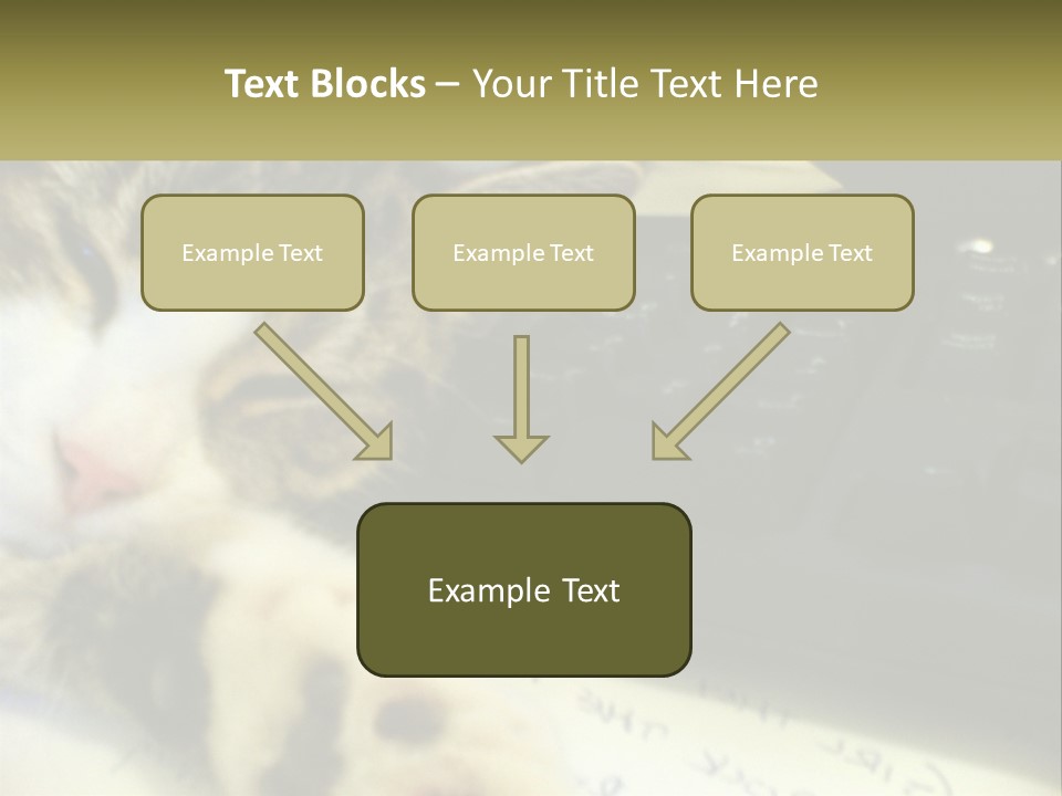 Coastal Sunset Pensioner PowerPoint Template