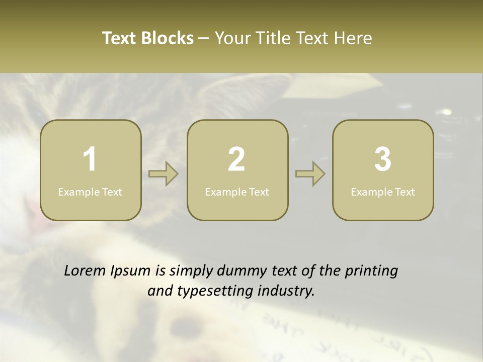 Coastal Sunset Pensioner PowerPoint Template