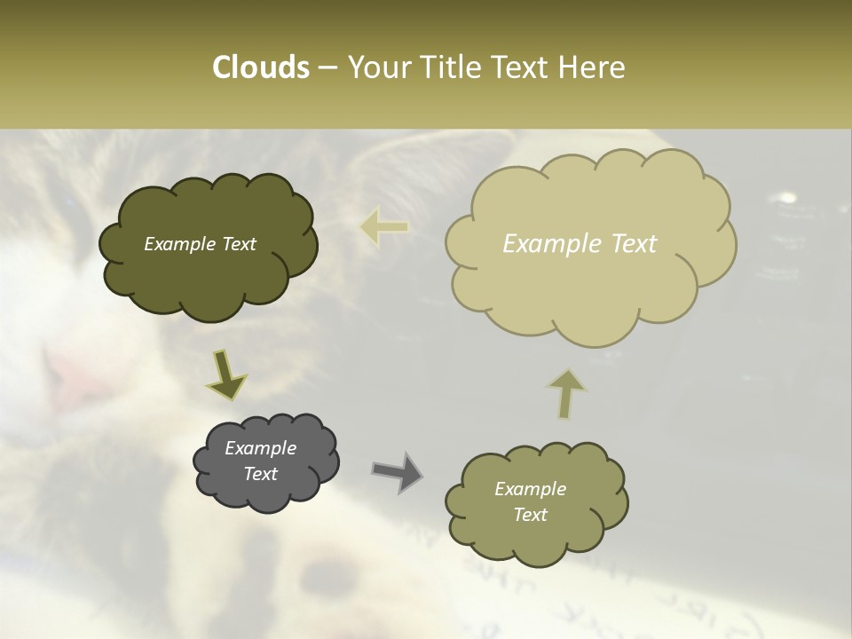 Coastal Sunset Pensioner PowerPoint Template