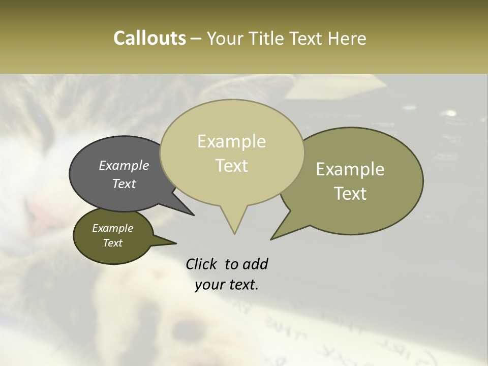 Coastal Sunset Pensioner PowerPoint Template