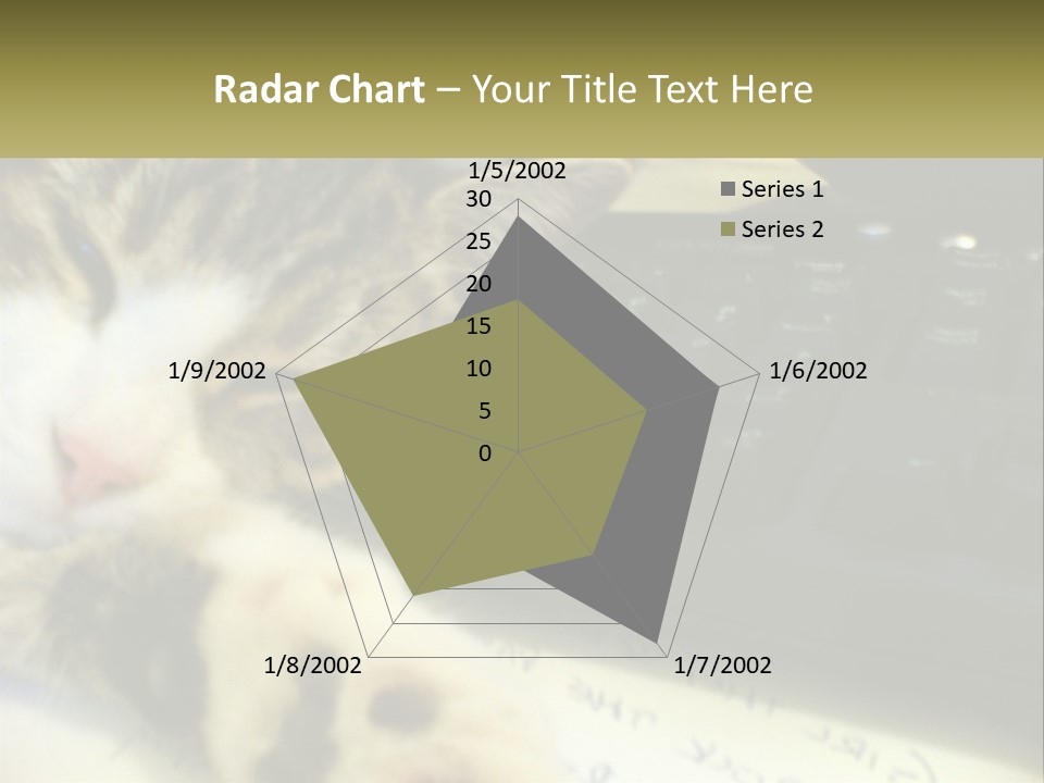 Coastal Sunset Pensioner PowerPoint Template