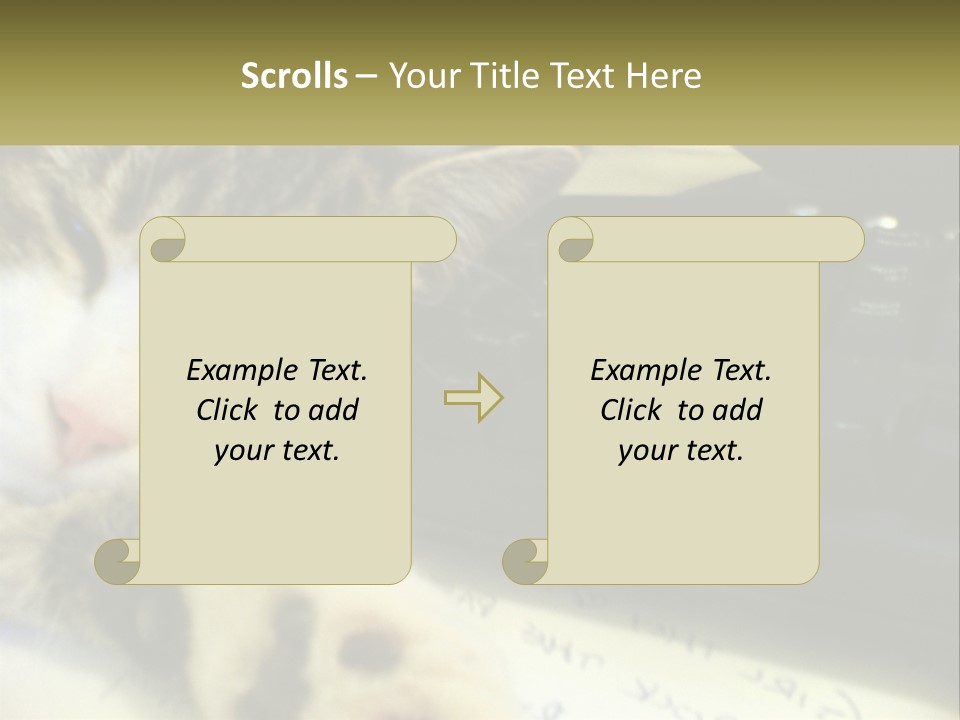 Coastal Sunset Pensioner PowerPoint Template