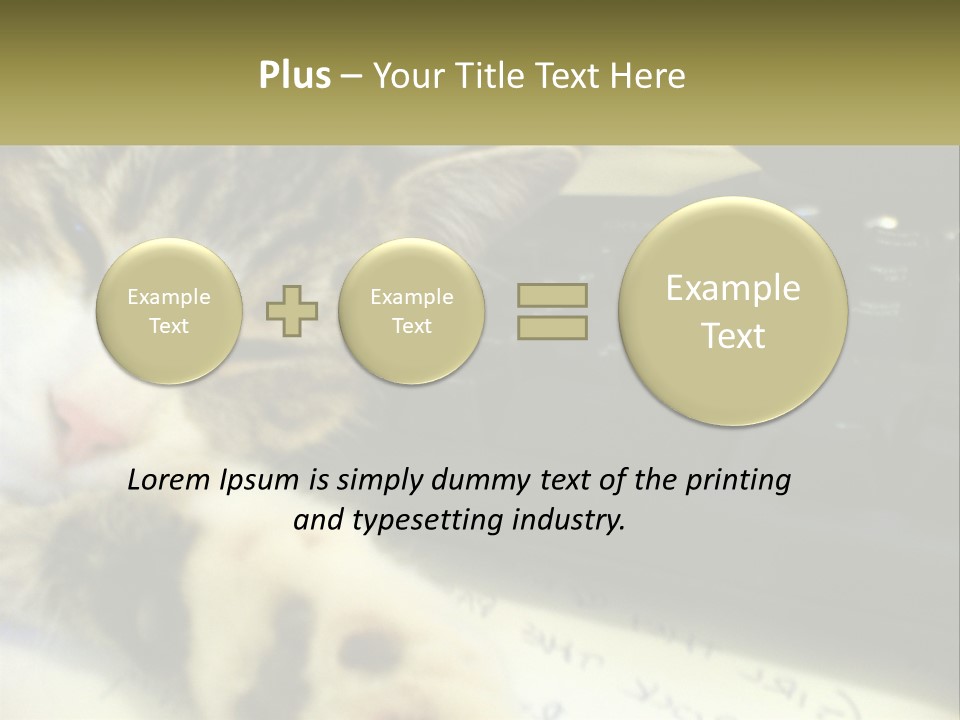 Coastal Sunset Pensioner PowerPoint Template