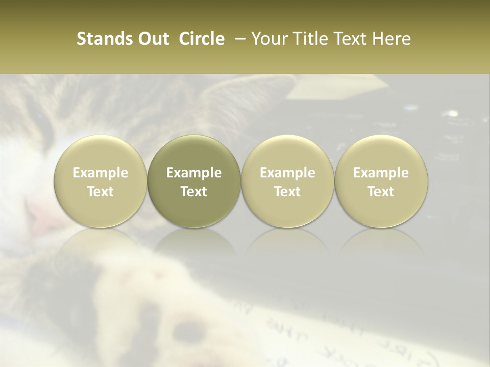 Coastal Sunset Pensioner PowerPoint Template