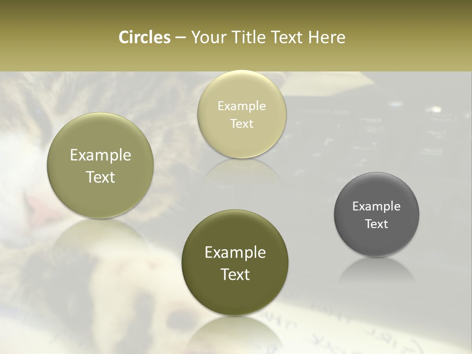 Coastal Sunset Pensioner PowerPoint Template