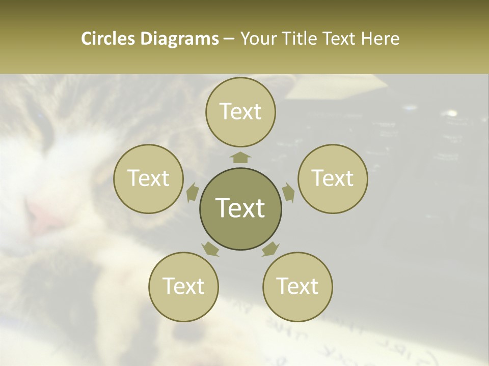 Coastal Sunset Pensioner PowerPoint Template