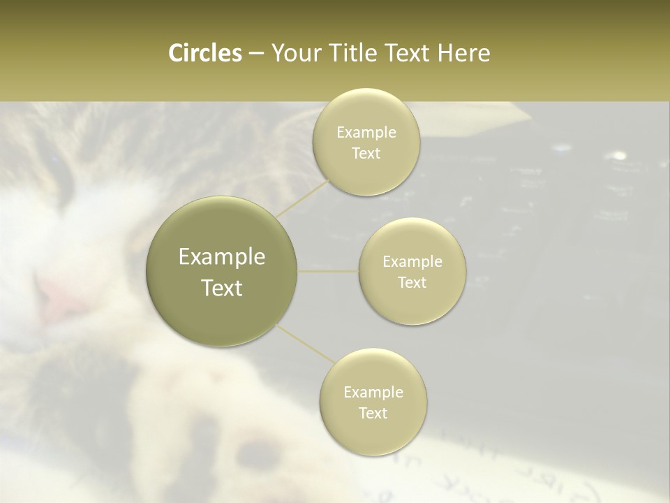 Coastal Sunset Pensioner PowerPoint Template