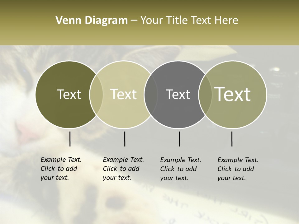 Coastal Sunset Pensioner PowerPoint Template