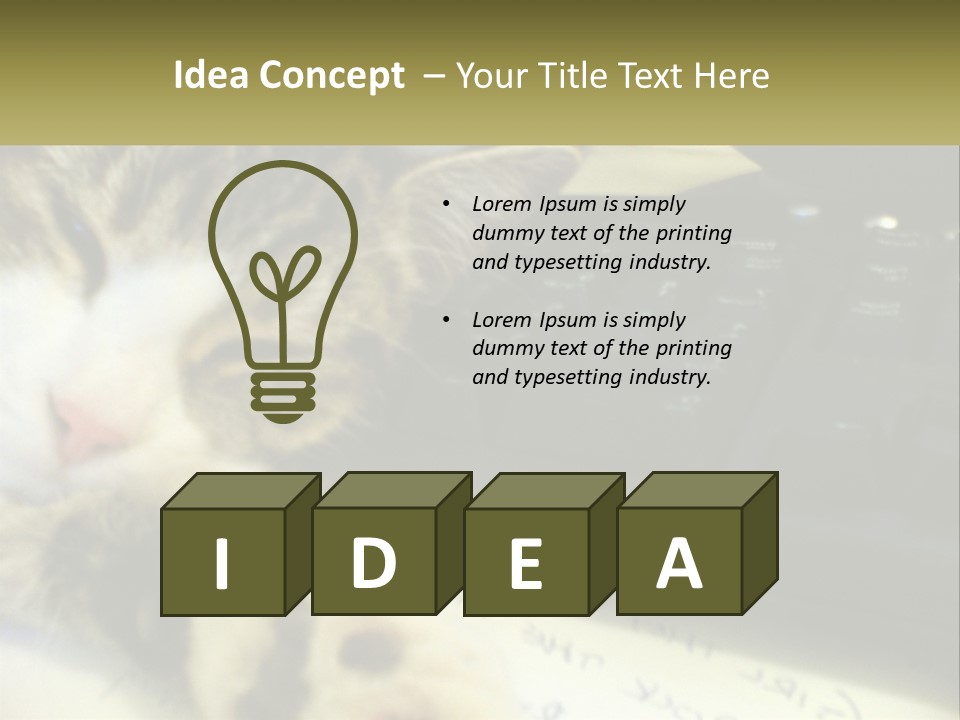 Coastal Sunset Pensioner PowerPoint Template