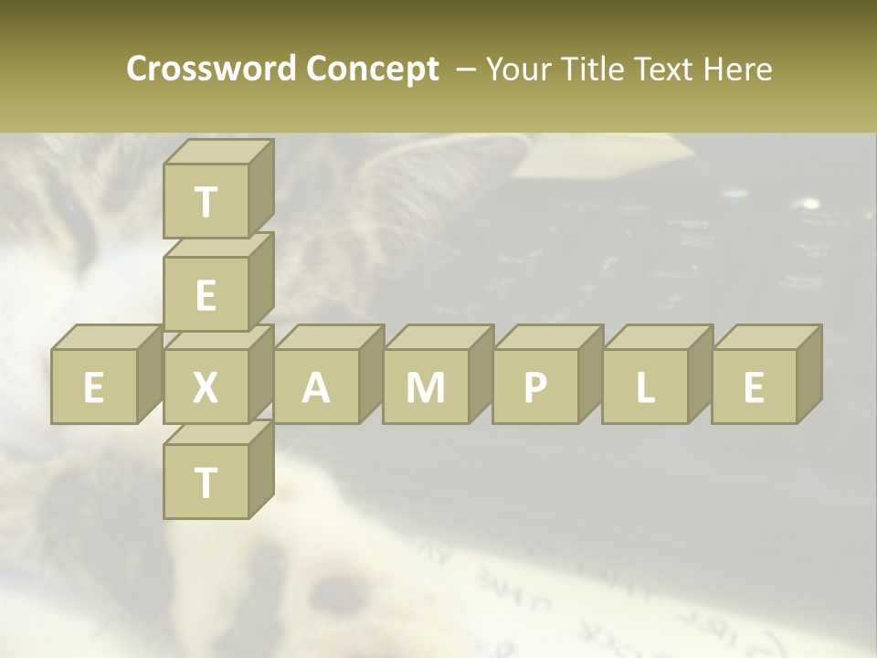 Coastal Sunset Pensioner PowerPoint Template