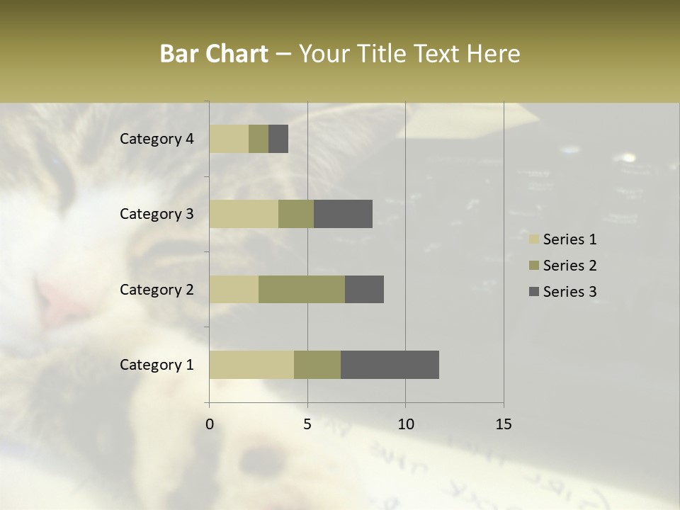 Coastal Sunset Pensioner PowerPoint Template