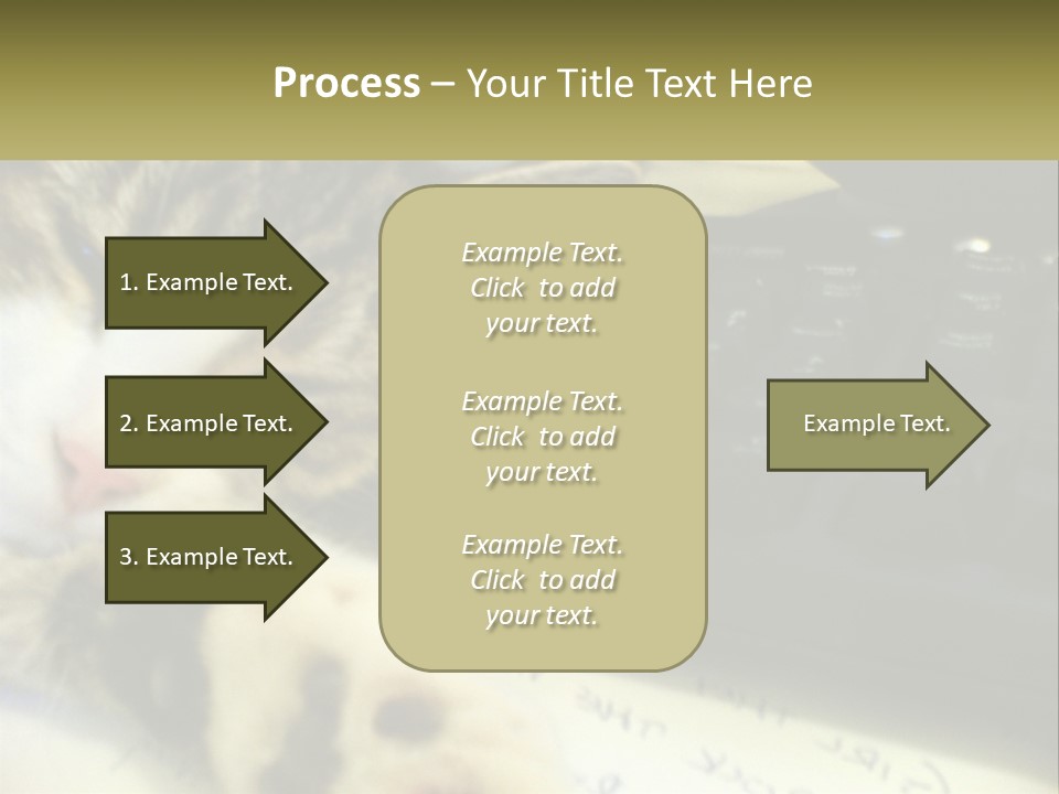 Coastal Sunset Pensioner PowerPoint Template