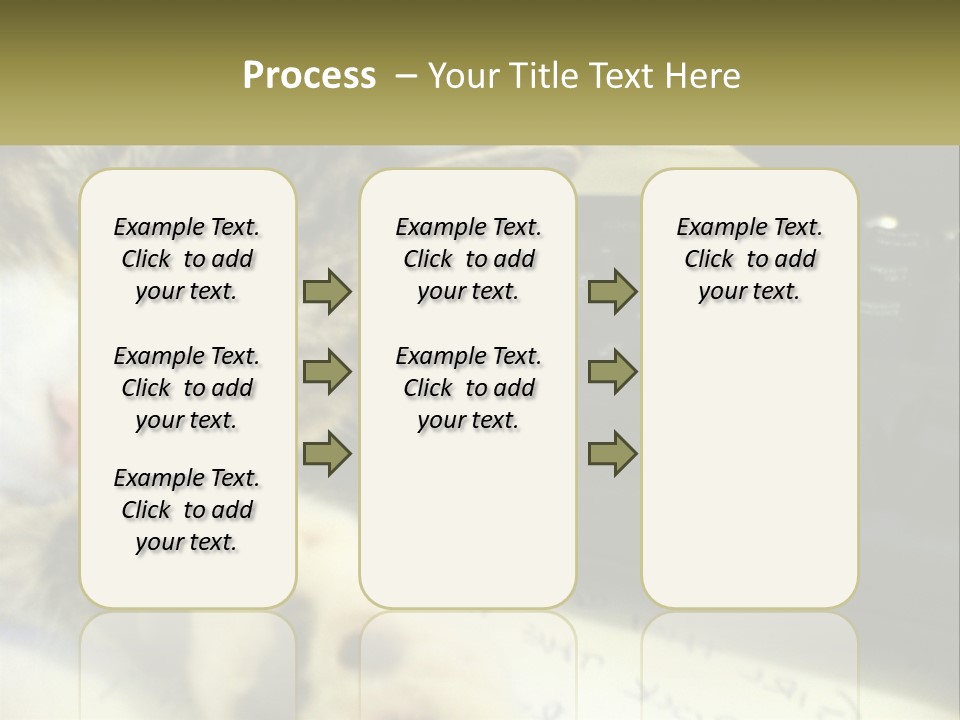 Coastal Sunset Pensioner PowerPoint Template