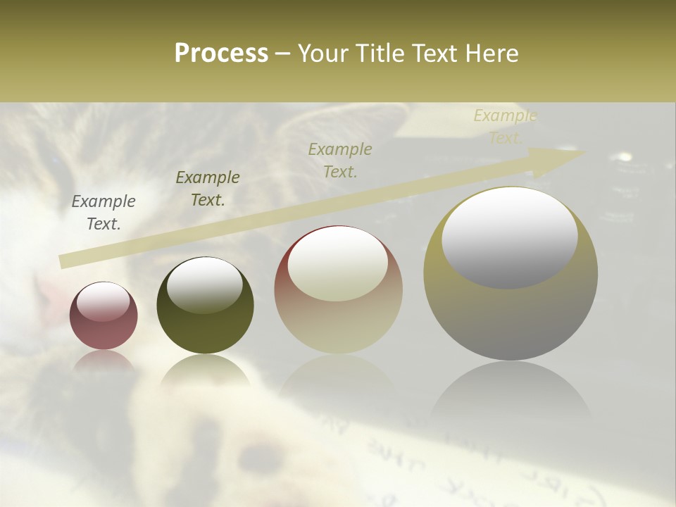 Coastal Sunset Pensioner PowerPoint Template