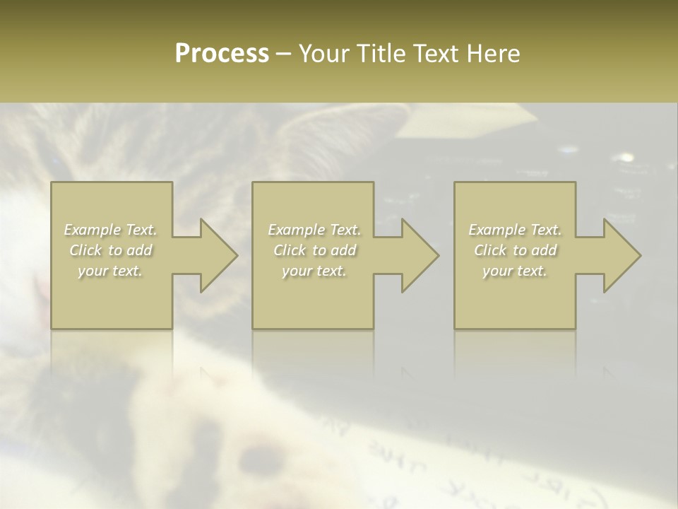 Coastal Sunset Pensioner PowerPoint Template