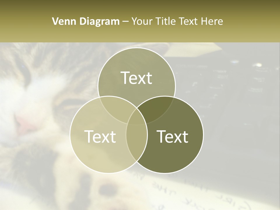 Coastal Sunset Pensioner PowerPoint Template