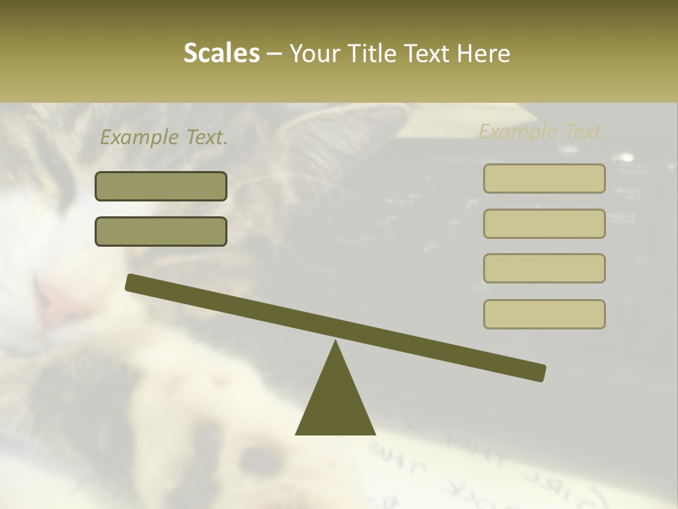 Coastal Sunset Pensioner PowerPoint Template