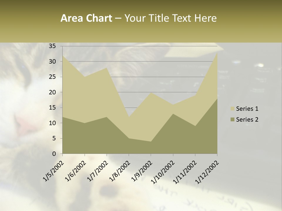 Coastal Sunset Pensioner PowerPoint Template