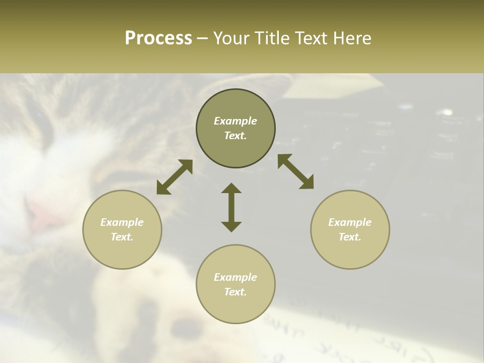 Coastal Sunset Pensioner PowerPoint Template