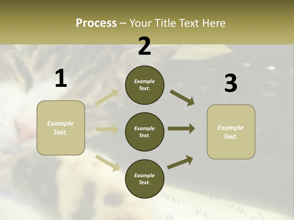 Coastal Sunset Pensioner PowerPoint Template