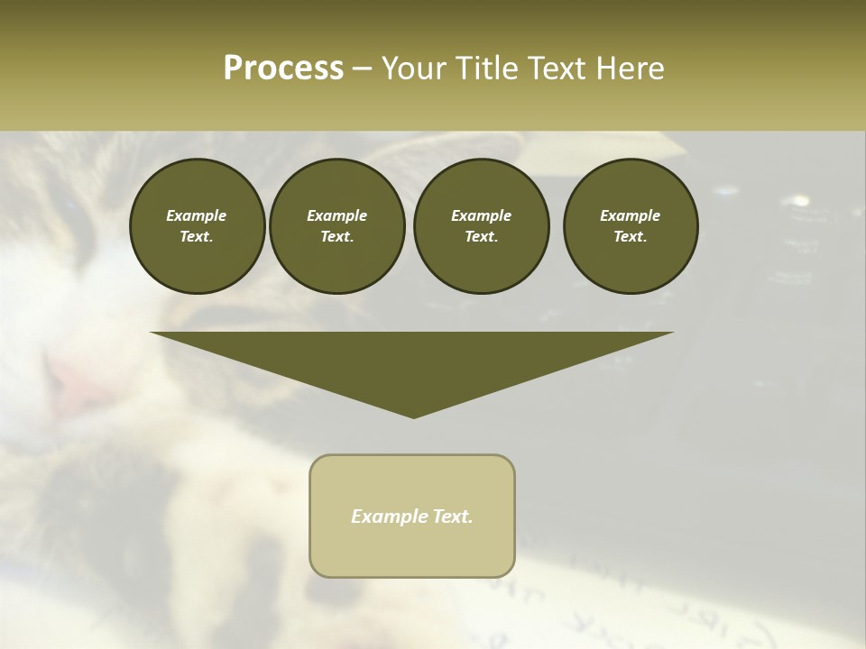 Coastal Sunset Pensioner PowerPoint Template