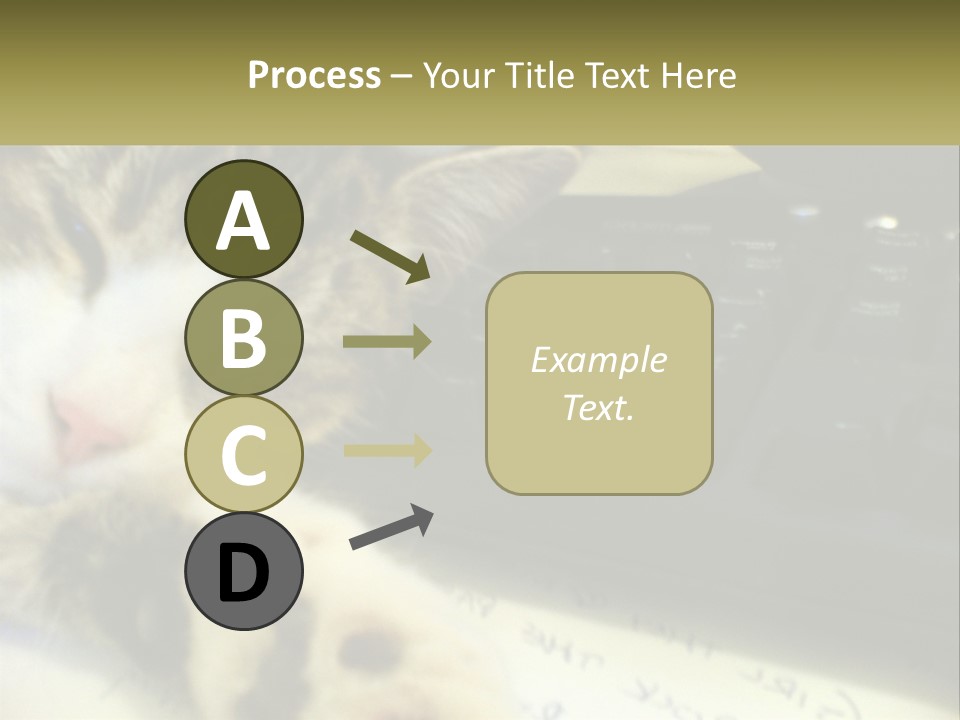 Coastal Sunset Pensioner PowerPoint Template