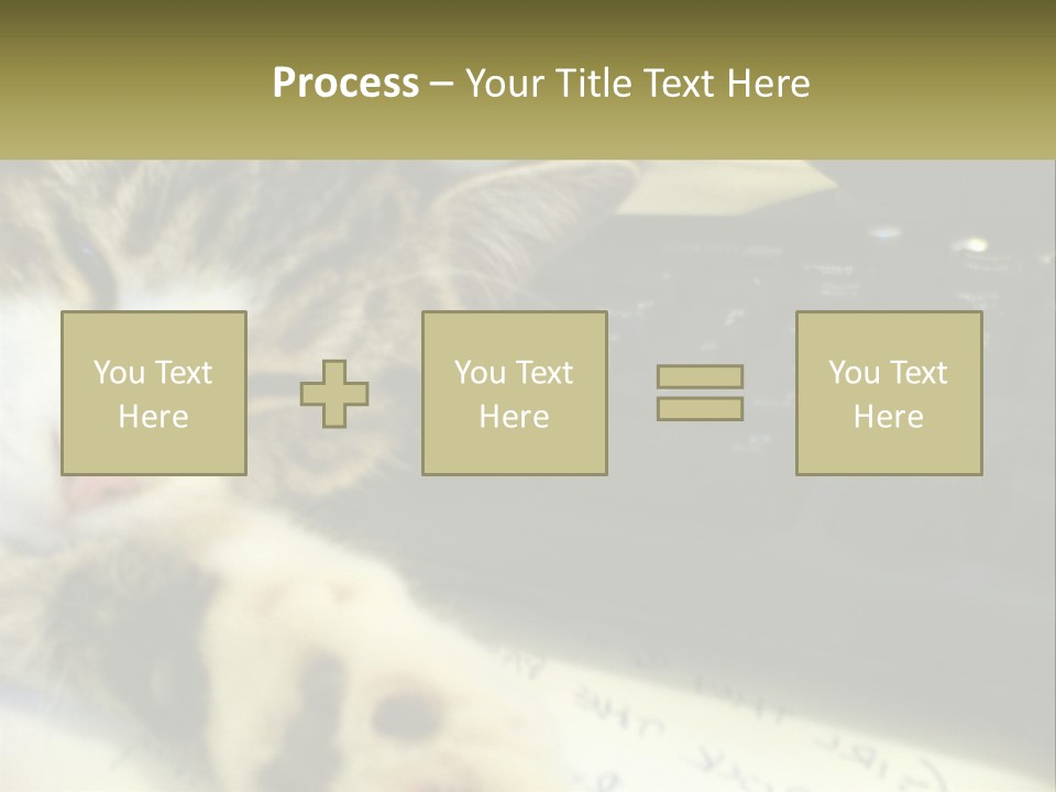 Coastal Sunset Pensioner PowerPoint Template