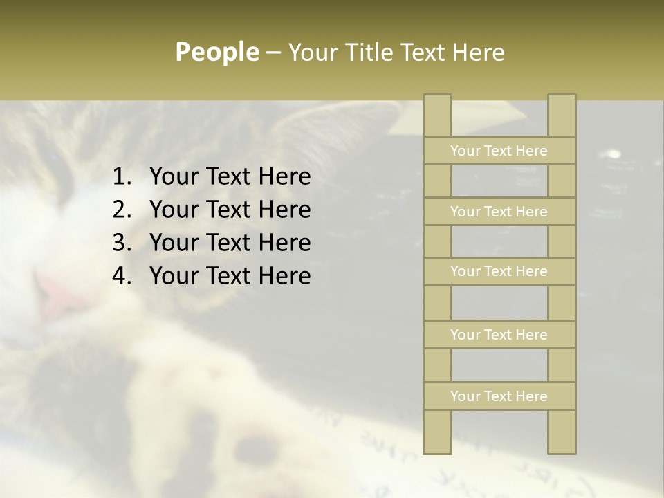 Coastal Sunset Pensioner PowerPoint Template