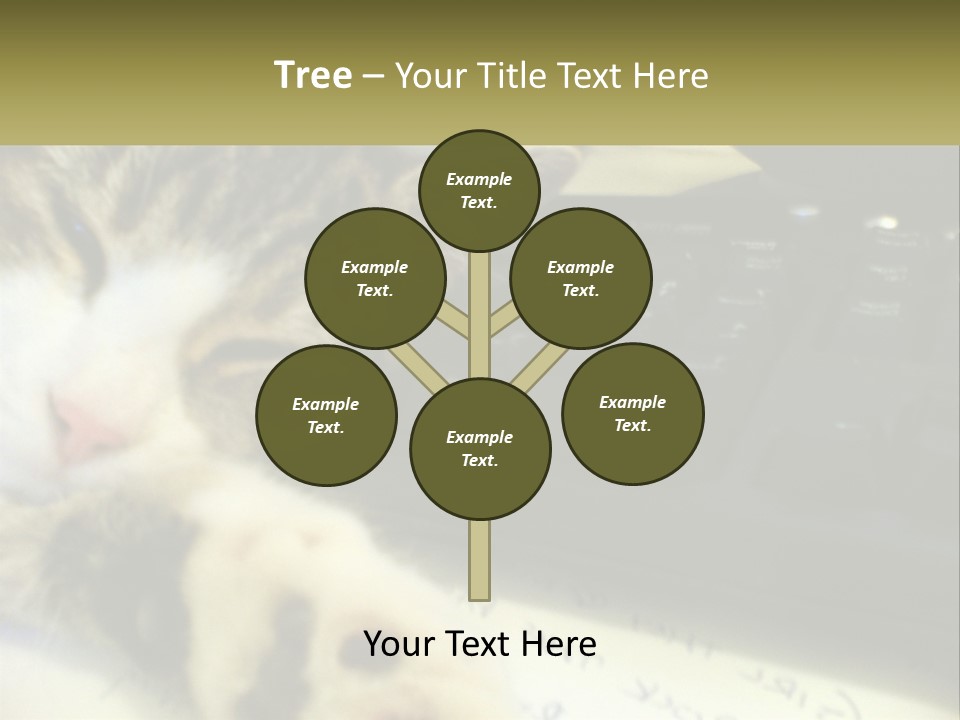 Coastal Sunset Pensioner PowerPoint Template