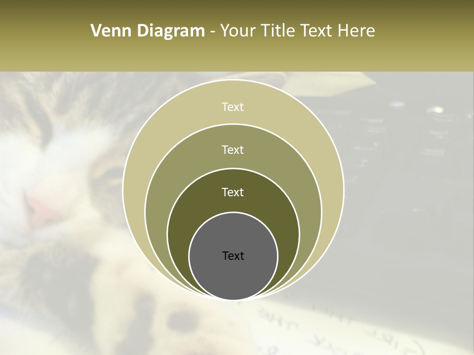 Coastal Sunset Pensioner PowerPoint Template