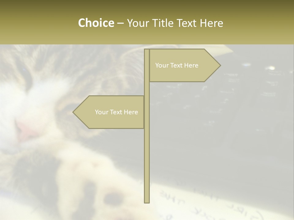 Coastal Sunset Pensioner PowerPoint Template