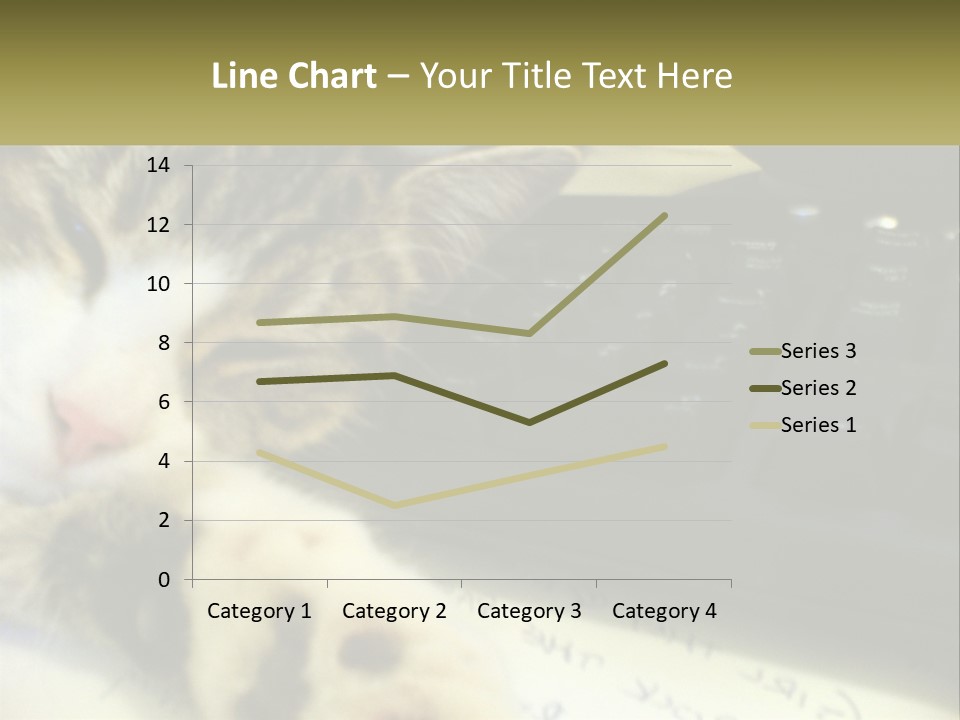 Coastal Sunset Pensioner PowerPoint Template