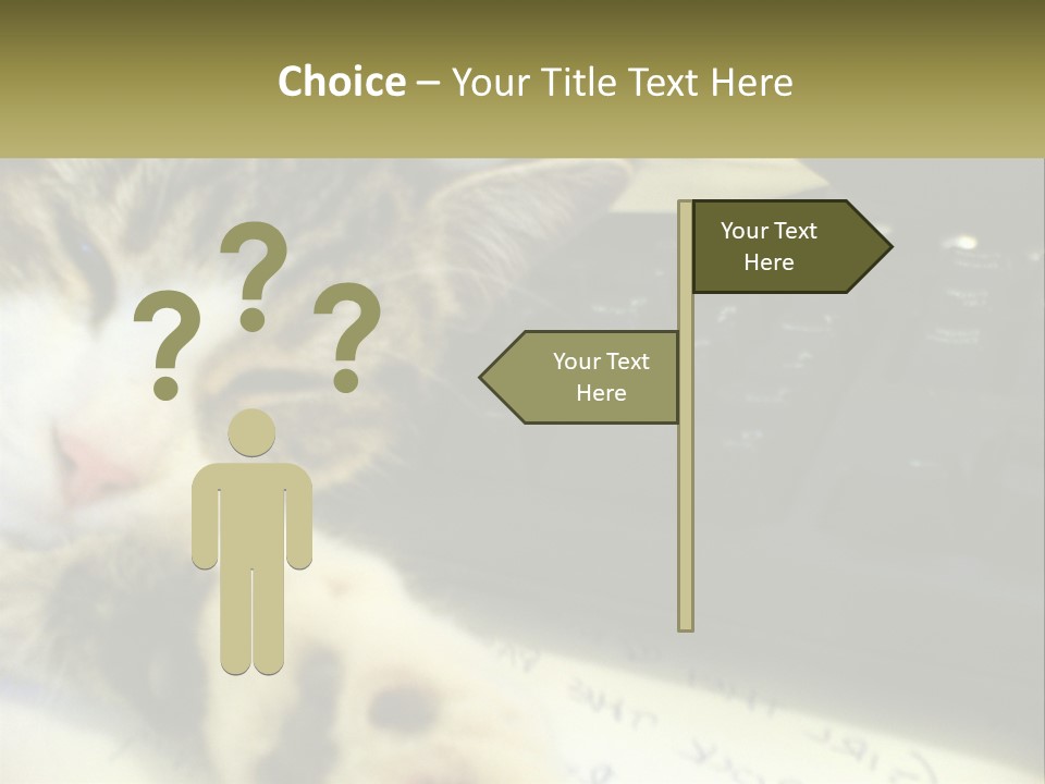 Coastal Sunset Pensioner PowerPoint Template