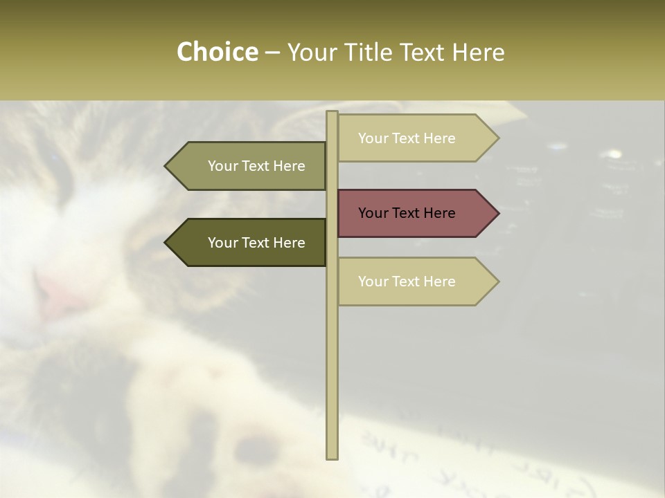 Coastal Sunset Pensioner PowerPoint Template