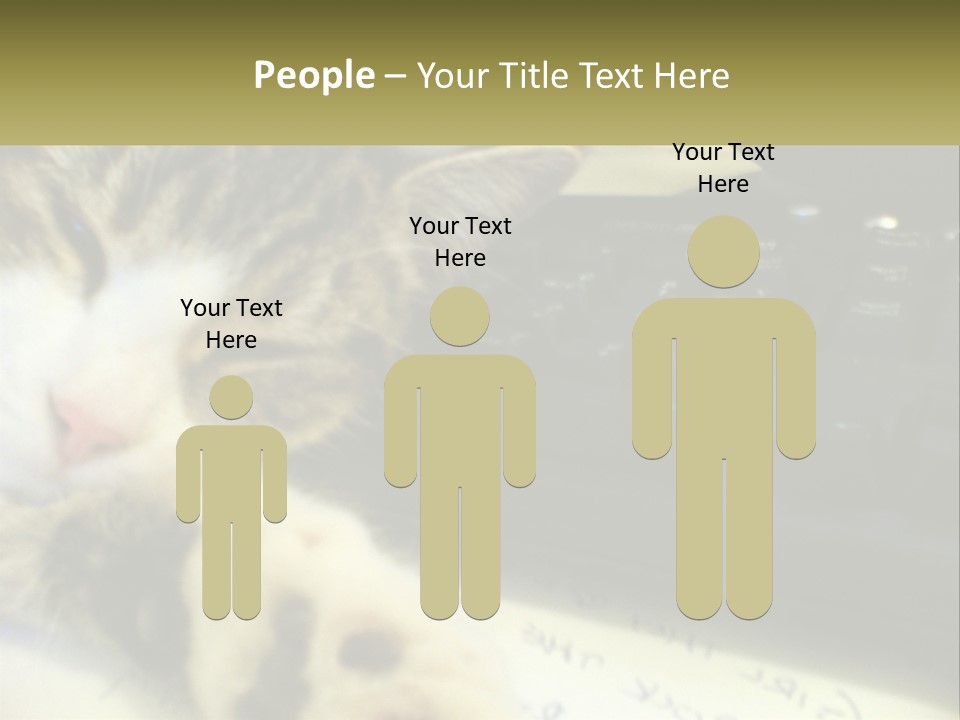 Coastal Sunset Pensioner PowerPoint Template